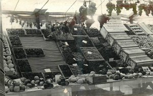 1908 Watsonville California Apple Grape Agriculture Postcard RPPC 24-11330