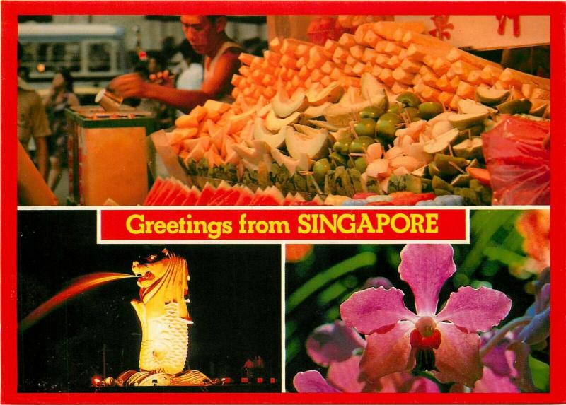 Greetings from Singapore exotic fruits seller multi views postcard