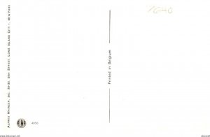 Anthropomorphic  Cats , Family at Dinner   Alfred Mainzer  no.4850