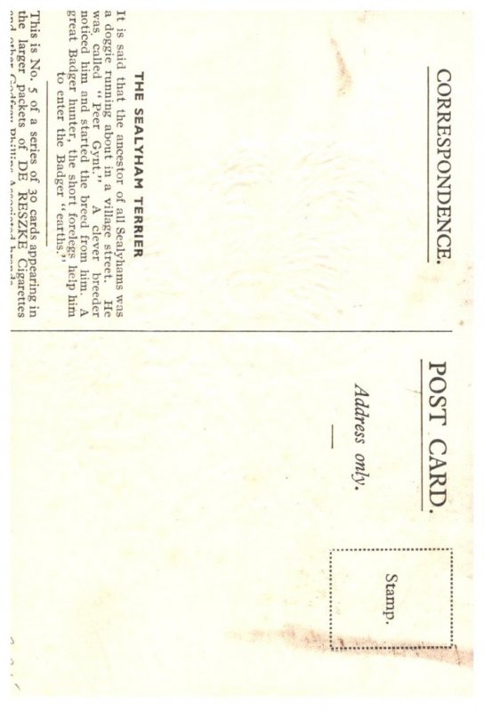 Dog ,  Sealyham Terrier , artist signed ,