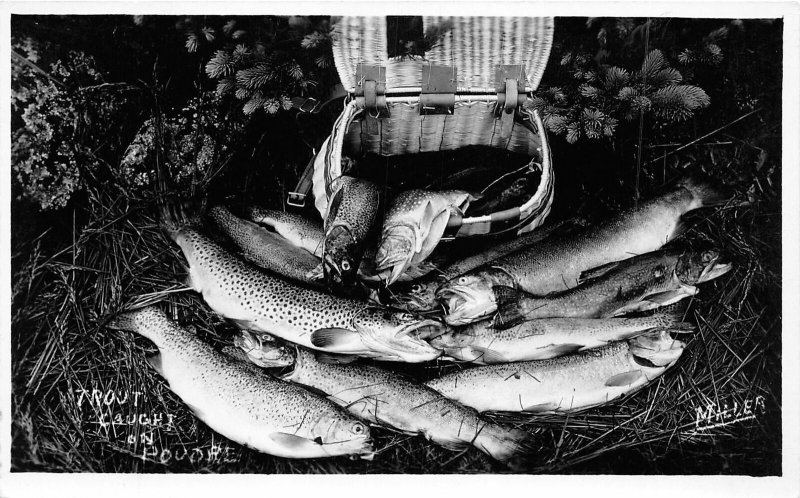 J16/ Poudre Canyon Fort Collins Colorado RPPC Postcard c1950s Trout Fishing 87