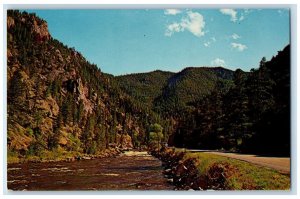 c1960s Cache La Poudre River Mountain Roadside Fort Collins Colorado CO Postcard