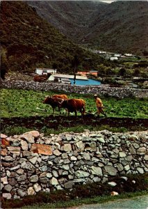 VINTAGE CONTINENTAL SIZE POSTCARD MOUNTAIN SIDE RURAL VILLAGE FARM VENEZUELA