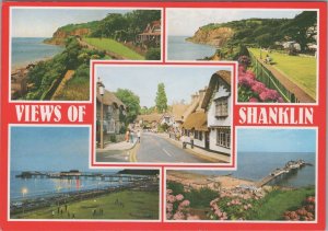 Isle of Wight Postcard - Greetings From Shanklin  RR17522
