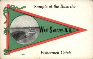 West Swanzey New Hampshire Fishing Exaggeration Pennant Vintage Postcard