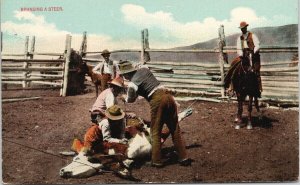 Ranchers Branding a Steer Cowboys Ranch Life Cow c1914 TP & Co. Postcard F67