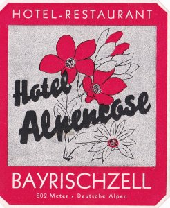 Germany Bayrischzell Hotel Alpenrose Vintage Luggage Label sk3741