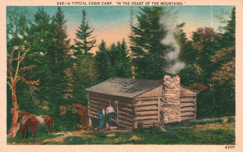 Vintage Postcard A Typical Cabin Camp In The Heart Of The Mountains Asheville