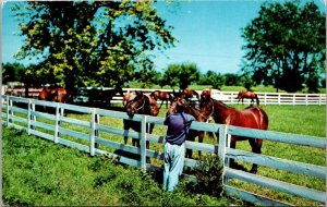 Horses Yearlings In Vermont