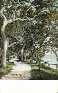 Bostrom Oaks River Road C-1910 ORMOND FLORIDA Leighton postcard 3483