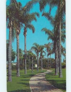 Unused Pre-1980 PARK SCENE Anaheim - Los Angeles California CA hk6184