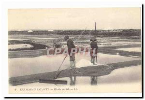 The salt marsh harvest Post Card Old Salt