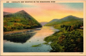 Chocolate Drop Mountain Susquehanna River Reflections Forest Linen UNP Postcard