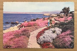 UNUSED  POSTCARD - MONTEREY PENINSULA, CALIFORNIA