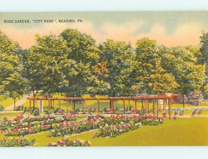 Unused Linen ROSE GARDEN & PARK SCENE Reading Pennsylvania PA r8355