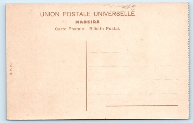 Madeira - Vila de Camara de Lobos - PORTUGAL Postcard