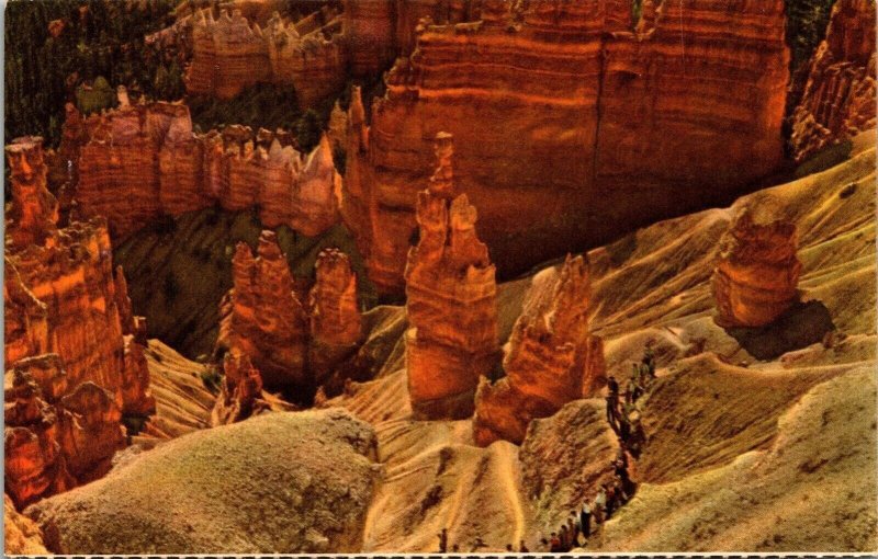 Bryce Canyon National Park Utah US Western Rock Formation UNP VTG Postcard 