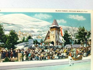 Vintage Postcard Black Forest Ice Skating Chicago World's Fair 