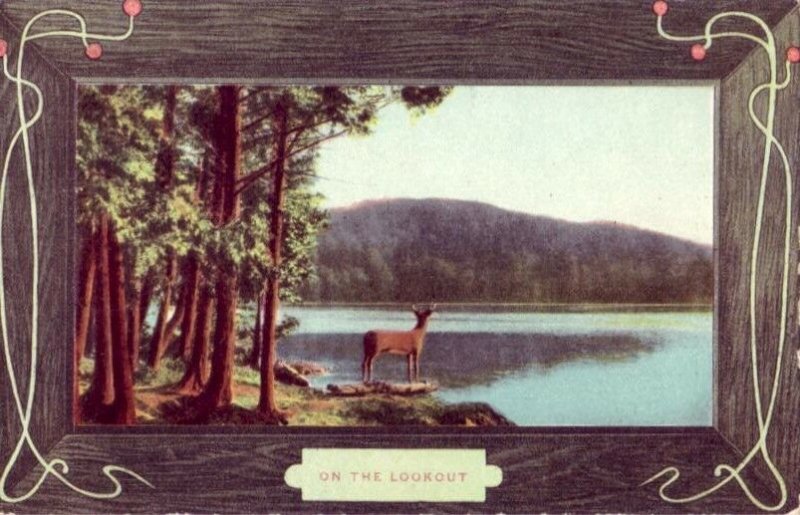 ON THE LOOKOUT Stag stands on shore looking out over lake 1909