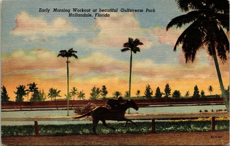 Morning Workout Gulfstream Park Hallandale FL Florida Horseback Linen Postcard