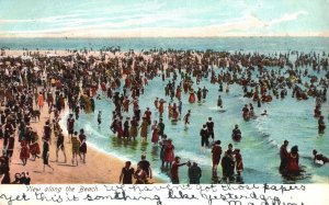 Vintage Postcard View along The Beach Sea Ocean People Swimming Summer Vacation