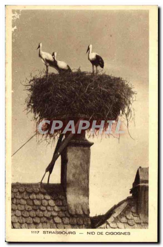 Postcard Old Strasbourg Storks Nest