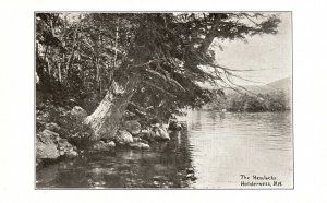 The Hemlocks Along River Water Holderness New Hampshire Vintage Postcard