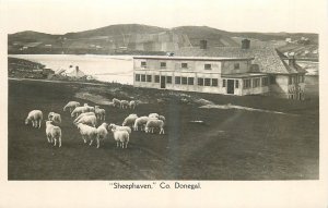 1920s Donegal Ireland Sheephaven Farm scene Postcard 25-5985