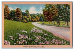 c1930's Greetings From El Paso Texas TX, Curve Road Flowers Car Scene Postcard