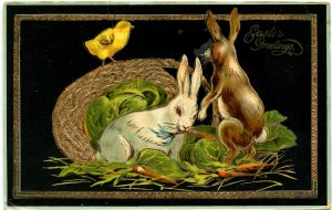 Greeting - Easter.  (bunnies)