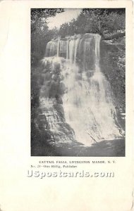 Cattail Falls - Livingston Manor, New York NY  