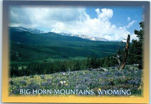 M-12420 Big Horn National Forest Wyoming