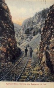 Railroad scene coming into Deadwood - South Dakota SD  