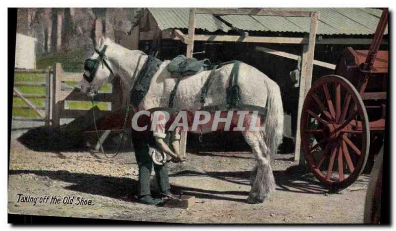 Old Postcard Horse Riding Equestrian Taking off the old shoe Smith WWF Army