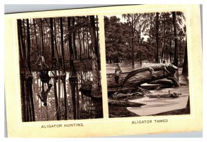 Vintage 1900's Victorian Trade Card Alligator Hunting & Sunning on a Fallen Tree