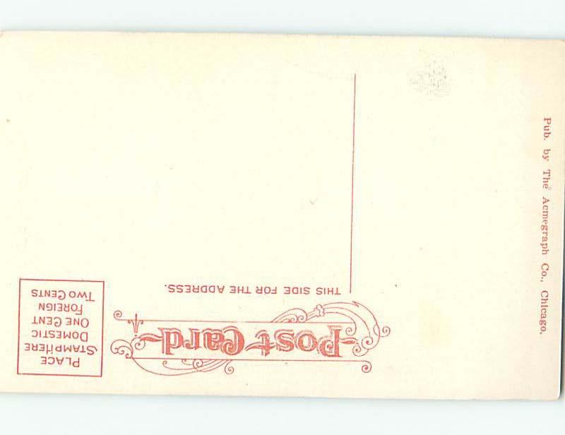 Unused Divided-Back POSTCARD FROM Watkins Glen New York NY HM6225