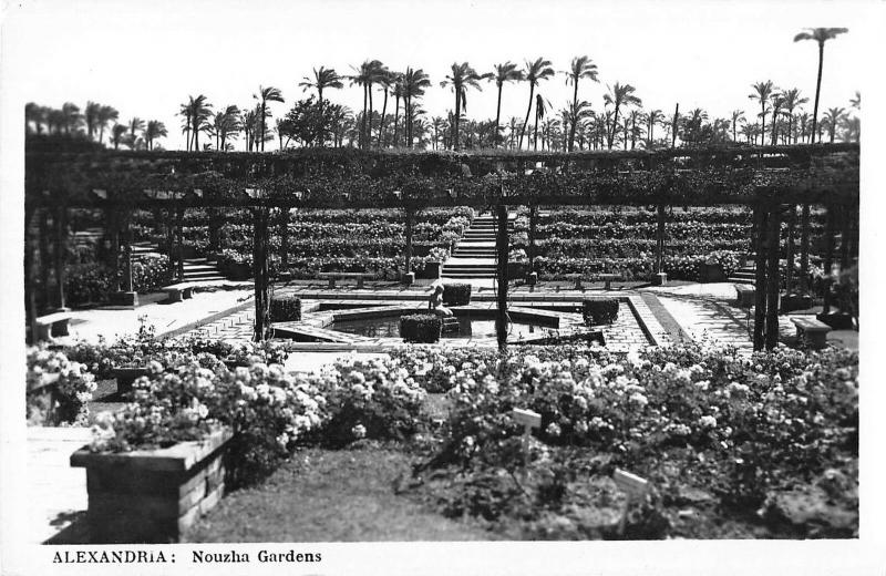 BR101762 alexandria nouzha gardens real photo egypt africa