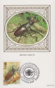 Stag Beetle Beetles British Insects Insect London Charte Benham First Day Cover