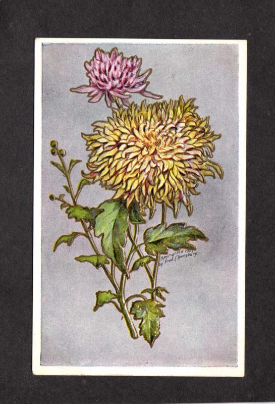 Flowers Artist Signed Fred C Lounsbury Vintage Postcard Carte Postale
