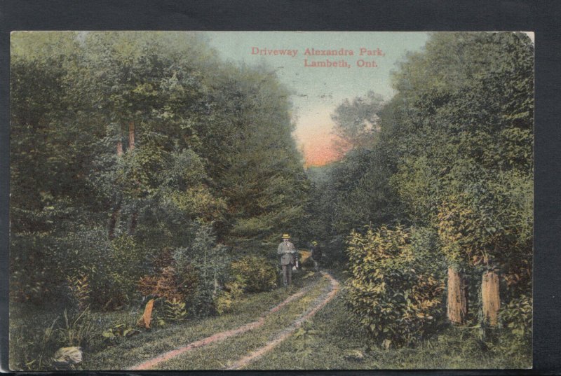 Canada Postcard - Driveway, Alexandra Park, Lambeth, Ontario     T7537