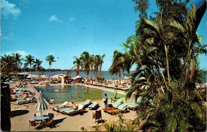 VINTAGE POSTCARD SWIMMING AREA OF THE AMERICANA HOTEL SAN JUAN PUERTO RICO 1960s