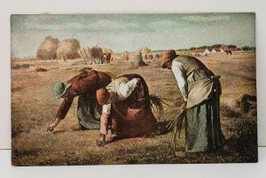 Working the Fields Harvesting Shirleysburg Pa 1907 Postcard C12