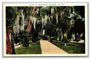 Vintage 1920's Postcard Residential Avenue Bonaventure Savannah Georgia