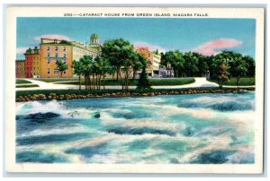 c1920's Cataract House From Green Island View Niagara Falls New York NY Postcard
