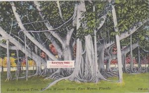 Florida Fort Myers Great Banyan Tree Edison Winter Home