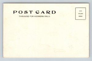 c1905 Postcard Cleveland Ohio St. Edward's Academy Undivided Back