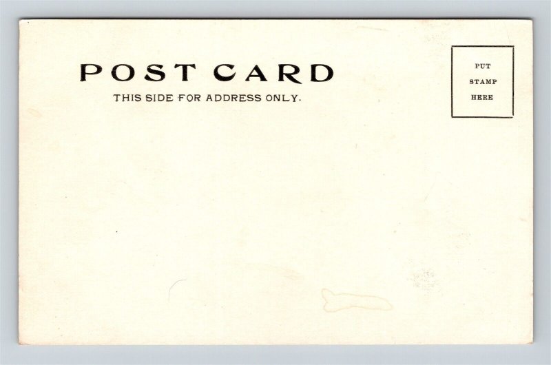 c1905 Postcard Cleveland Ohio St. Edward's Academy Undivided Back