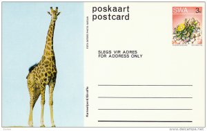Animal - Giraffe, SWA 3cent, 1973