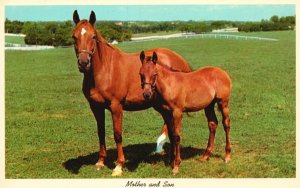Vintage Postcard Mother And Son Horses Greetings From Ludington Michigan