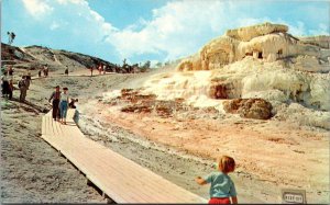 Yellowstone National Park Minerva Terrace At Mammoth